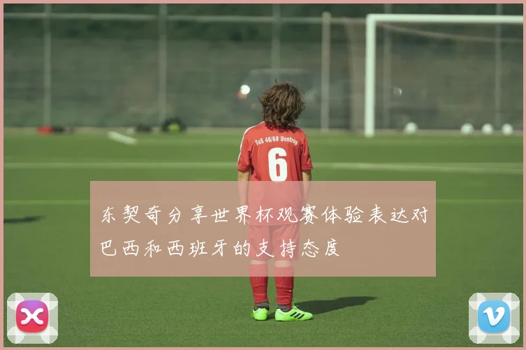 东契奇分享世界杯观赛体验表达对巴西和西班牙的支持态度