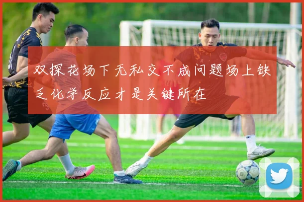 双探花场下无私交不成问题场上缺乏化学反应才是关键所在